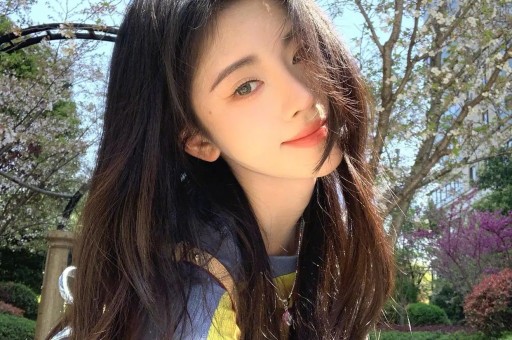 商洛旅行社前10强全面测评：真实游客口碑与专业服务深度解析「2026年3月更新」